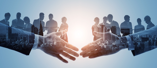 ASQA's guidelines on working with consultants - Why is there a need to regulate the consultants?