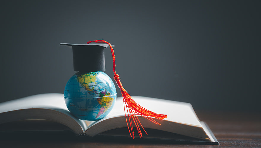 Government's Proposed Framework for International Education: A Critical Examination