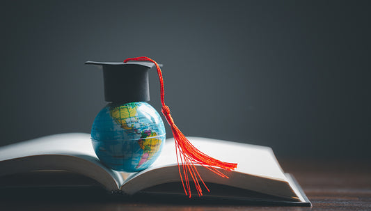 Government's Proposed Framework for International Education: A Critical Examination