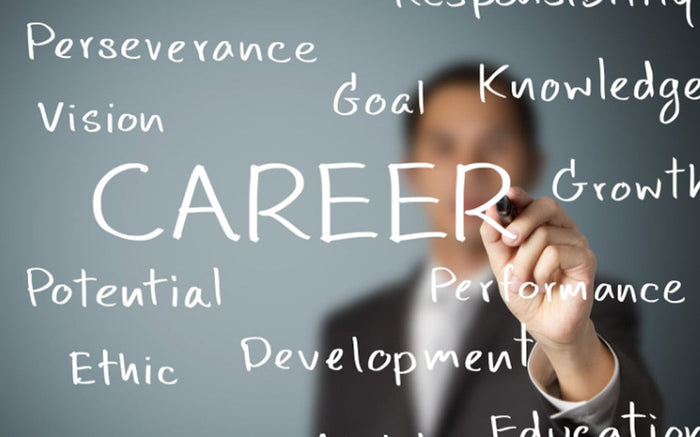 Building High Performance in Vocational Education: 12 Traits of Exceptional VET Professionals