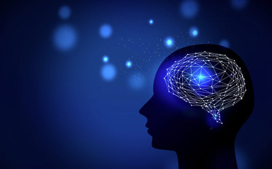 Bridging the Leadership Gap: Why Executives Must Accelerate AI Adoption in 2025