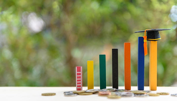 University Impact Rankings 2024: A New Perspective on Global Academic Excellence