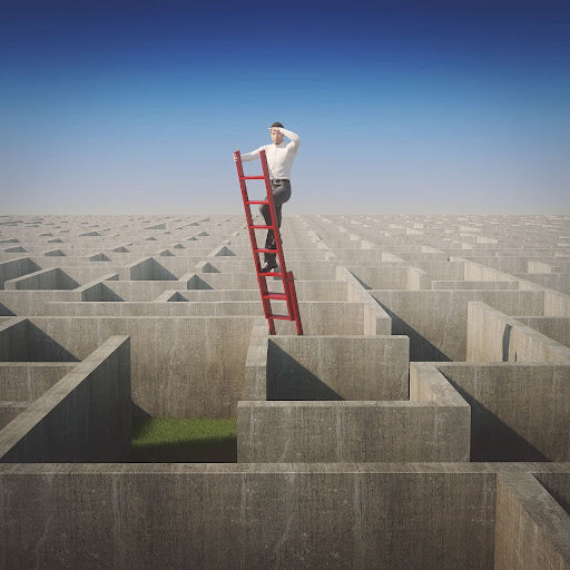 Scaling the Heights: How to Build a $10 Million+ Company