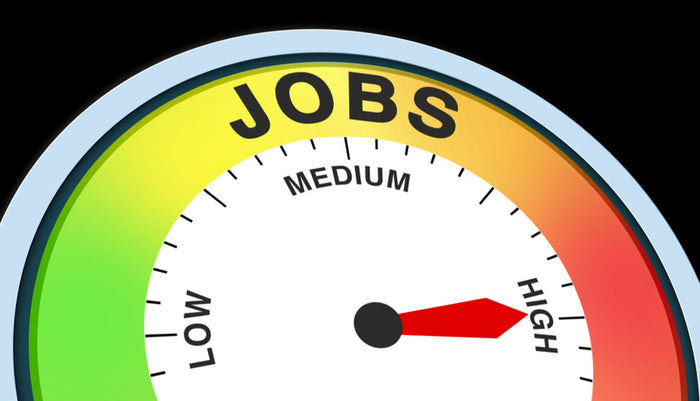 SKILLS SURGE: SA's Apprenticeship Revolution Powering Economic Growth and Essential Services