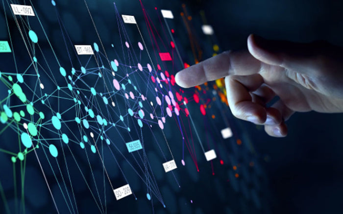 From Doing to Leading: How AI Automation is Reshaping Small Business Skills Requirements