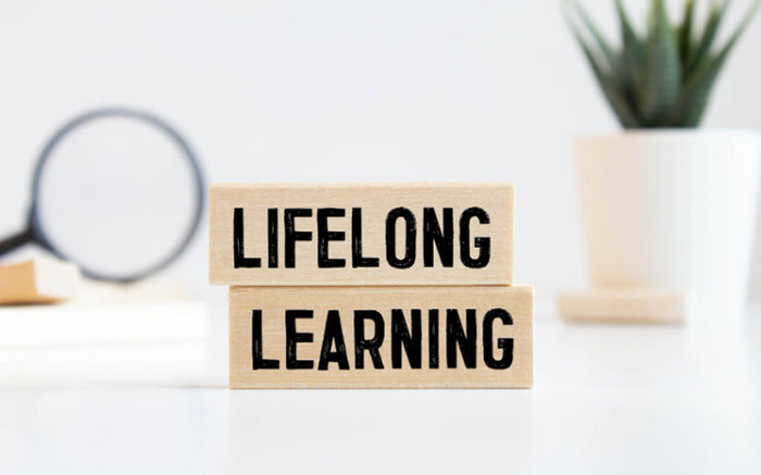 Lifelong Learning: Transforming VET for a Future of Continuous Skills Development