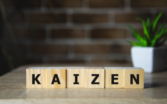 Stop Surviving Audits – Start Getting Better: How Kaizen Can Turn Your RTO Into a Truly High-Performing Team