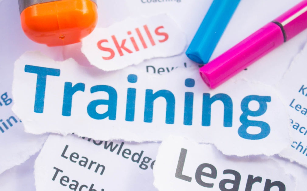 Universal Design for Learning in Practice: Reducing Barriers Before They Arise