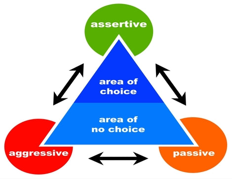 The Power of Constructive Disagreement: Elevating Workplace Dynamics