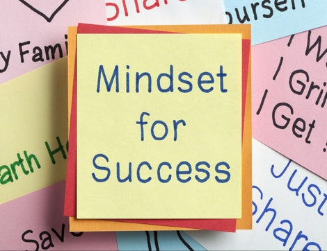Pathway to Prosperity: Cultivating a Wealth Mindset in 12 Essential Steps