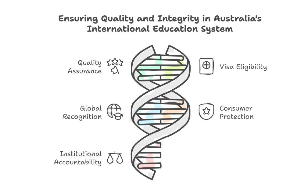 CRICOS Course Codes: Your Key to High-Quality International Education in Australia