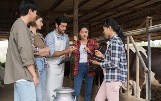 Private Training Providers Emerge as Cornerstone of Rural Australia's Skills Development Despite Policy Headwinds