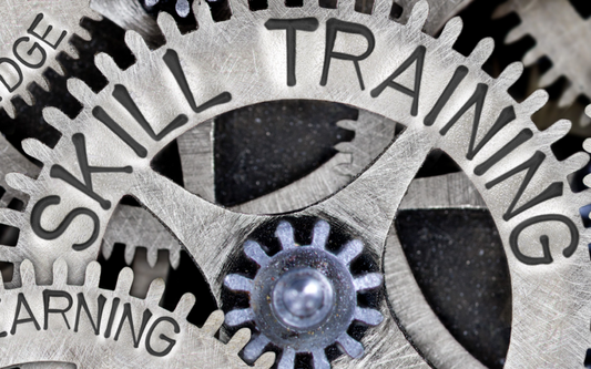 Beyond the 'Free TAFE' Myth: A Critical Analysis of Public Skills Training Investment