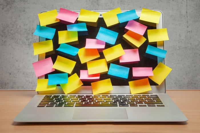 Building a Learning Organisation: Essential Elements for RTOs